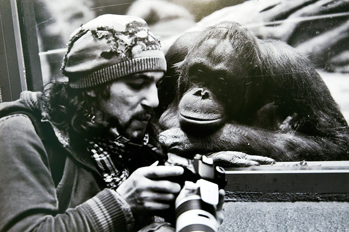 photographes-fous