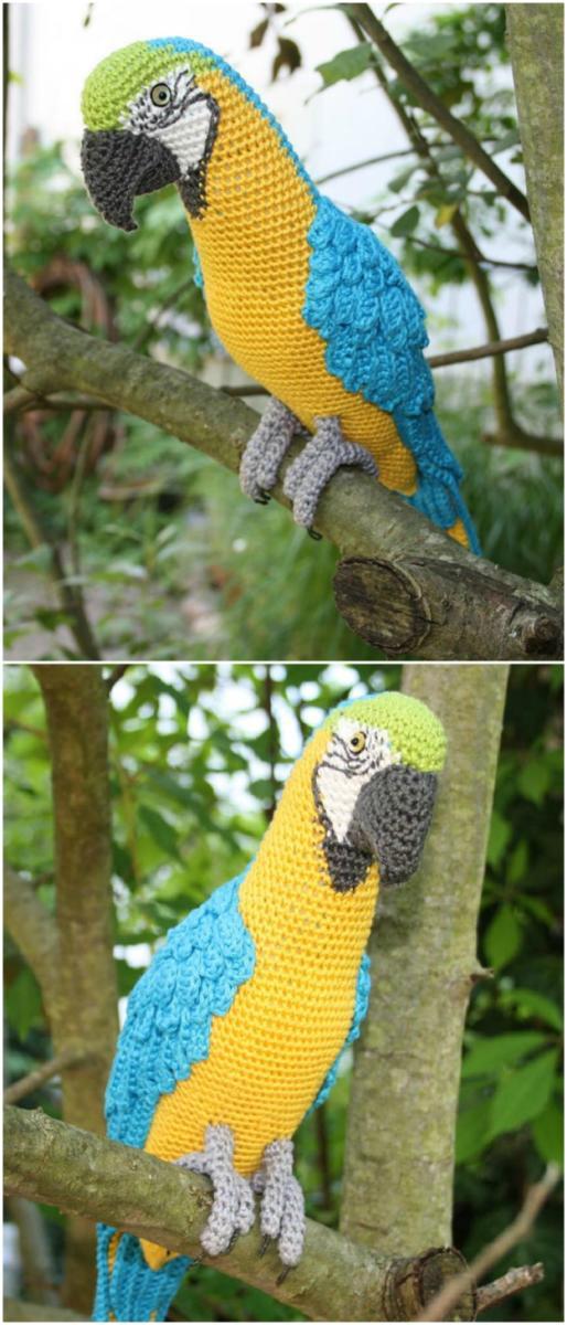 Blue-and-yellow-McCaw-