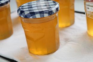 Gelée-de-pommes-recette-7
