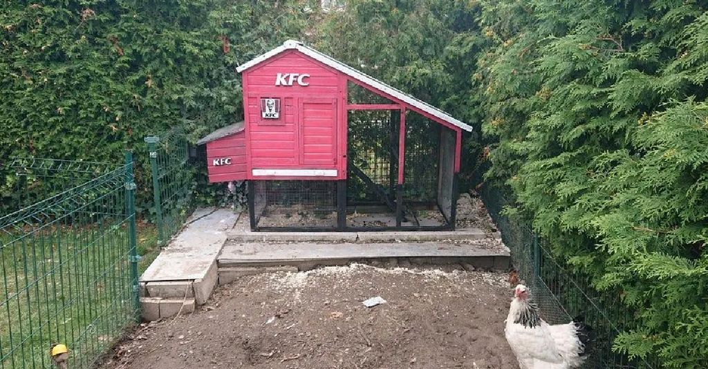 Les-poulaillers-qui-ressemblent-à-des-restaurants-KFC-1