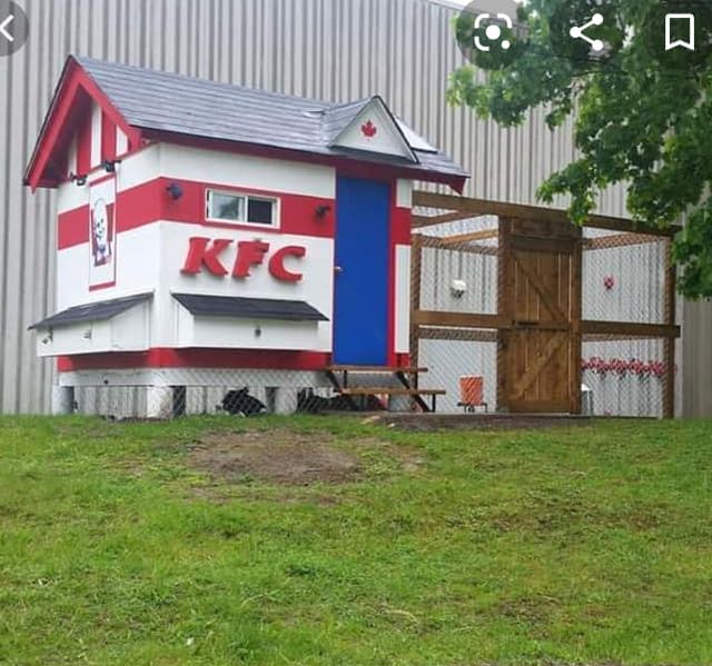 Les-poulaillers-qui-ressemblent-à-des-restaurants-KFC-4