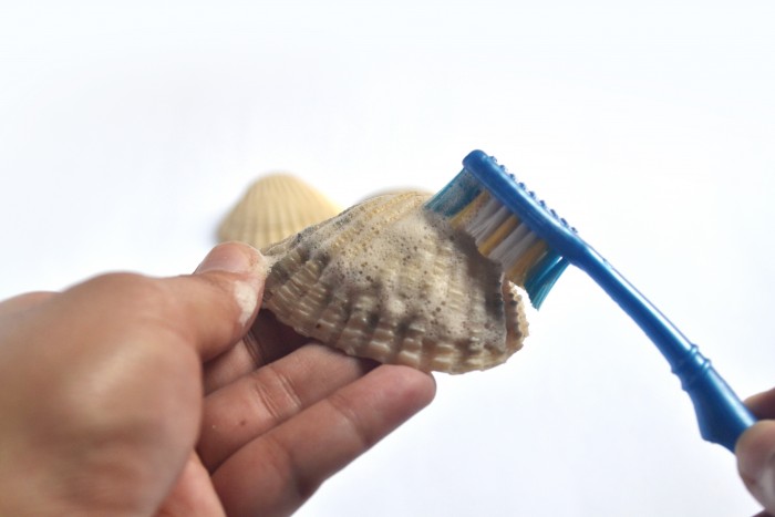 Lumignons-Coquillages -Centre-De-Table-2