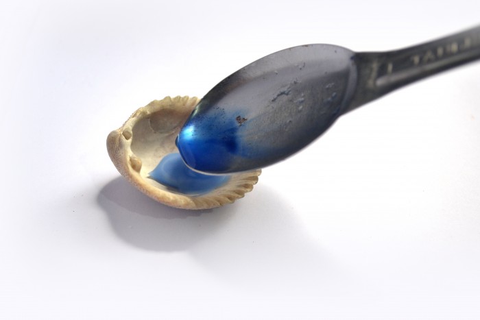 Lumignons-Coquillages -Centre-De-Table-4