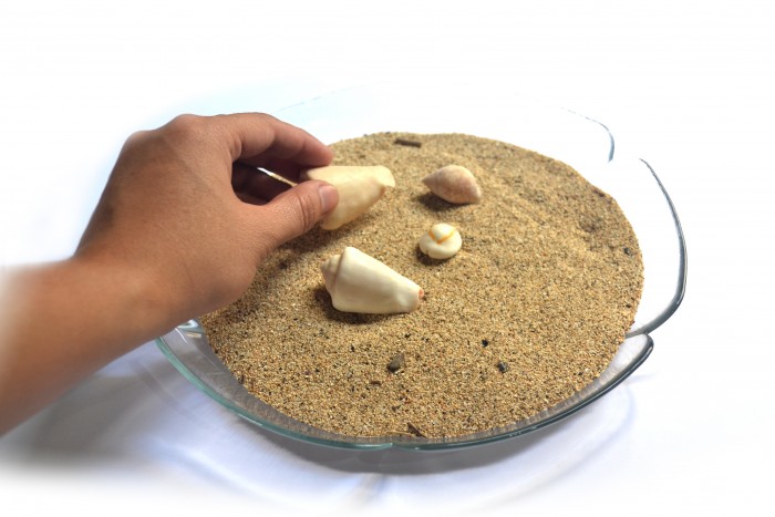 Lumignons-Coquillages -Centre-De-Table-8