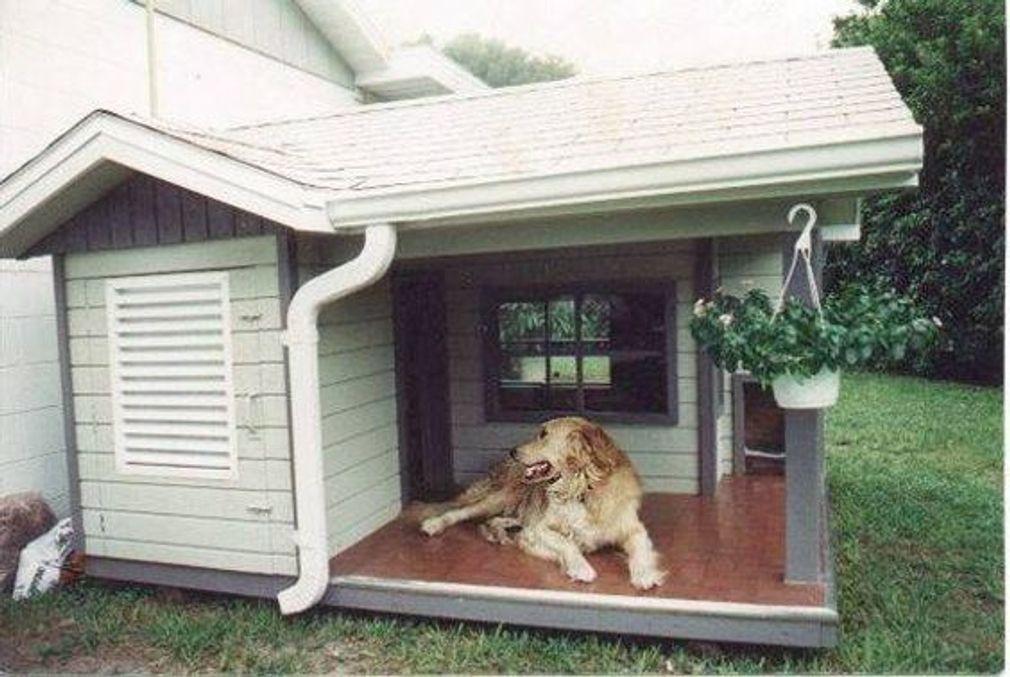 NICHE-POUR-CHIEN-TERRASSE