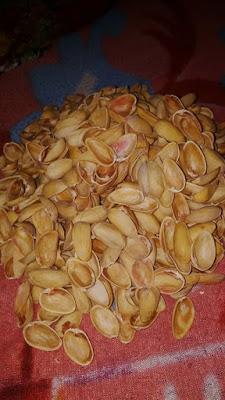 Pista-shell-bird-for-wall-decoration-2