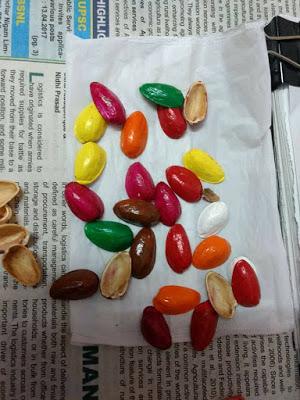 Pista-shell-bird-for-wall-decoration-6