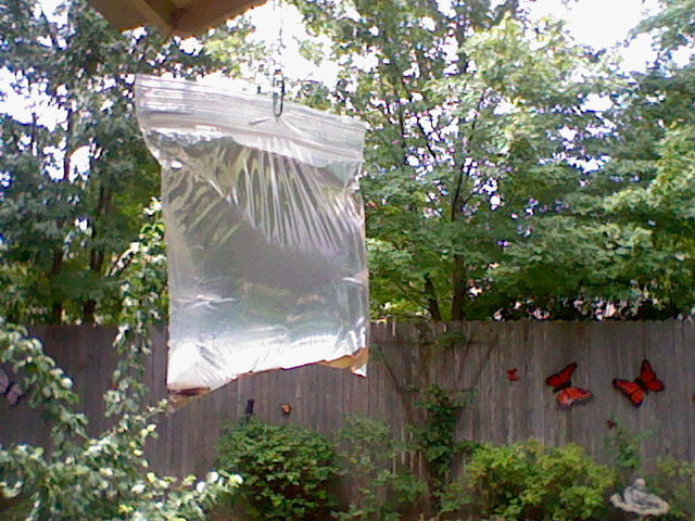 Sac-Avec-Des-Pièces-De-Monnaie-Et-eau-11