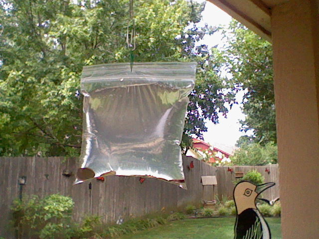 Sac-Avec-Des-Pièces-De-Monnaie-Et-eau-12