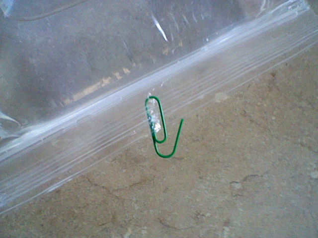 Sac-Avec-Des-Pièces-De-Monnaie-Et-eau-9