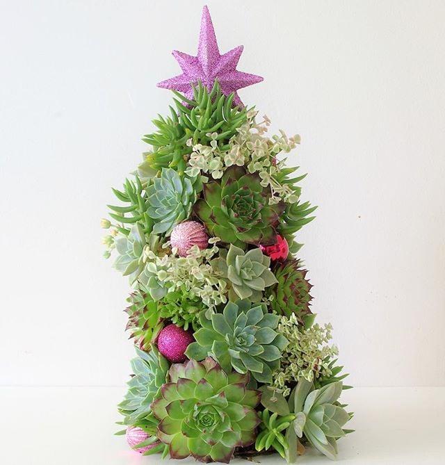 Succulent-arbre-noel-21