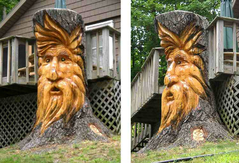 Transformer-Une-Souche-arbre-21