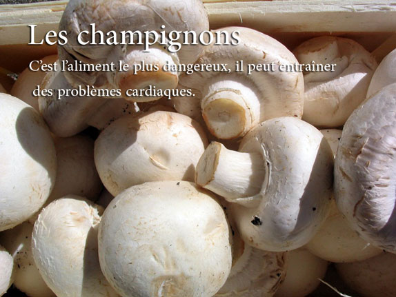 aliments-à-ne-pas-rechauffer-champignon