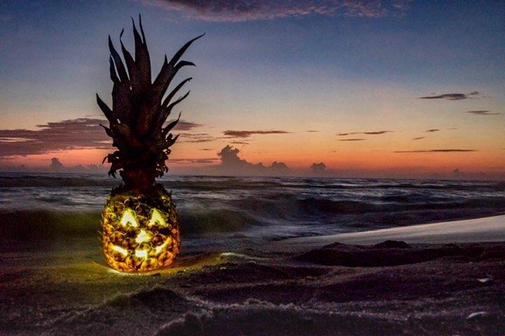 ananas-sculptés-pour-Halloween-1