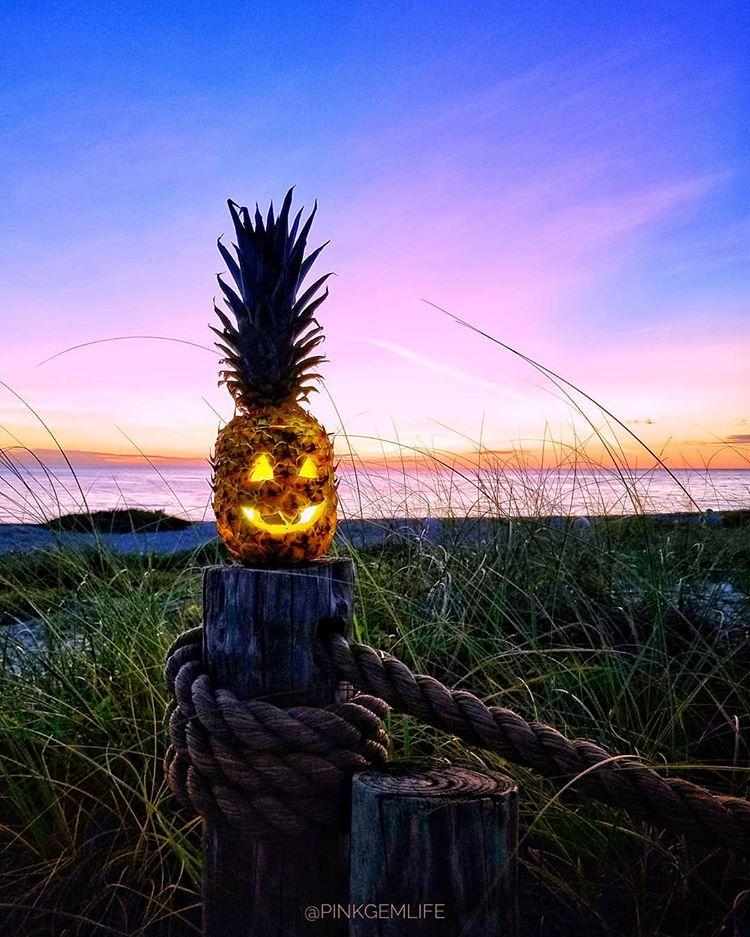 ananas-sculptés-pour-Halloween-3