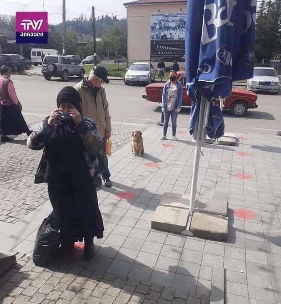 animaux-respectent-distanciation-sociale-4