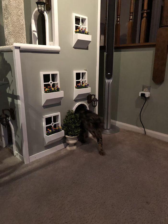 arbre-a-chat-tours-racoutu-93