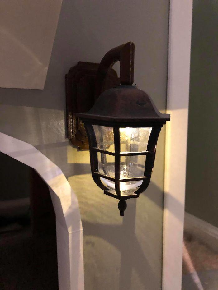 arbre-a-chat-tours-racoutu-94