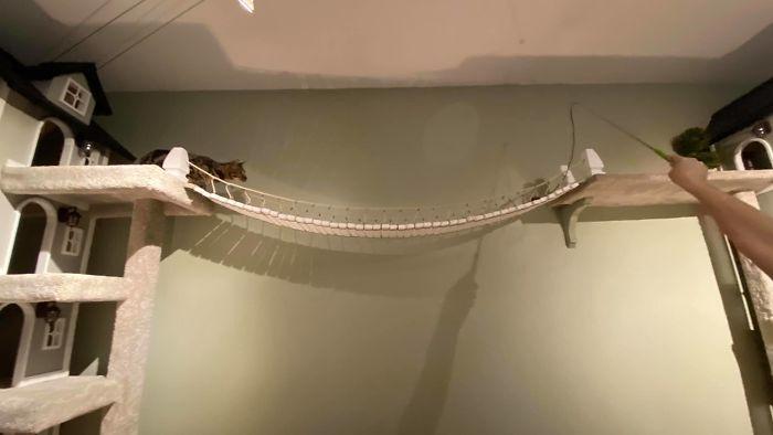 arbre-a-chat-tours-racoutu-99