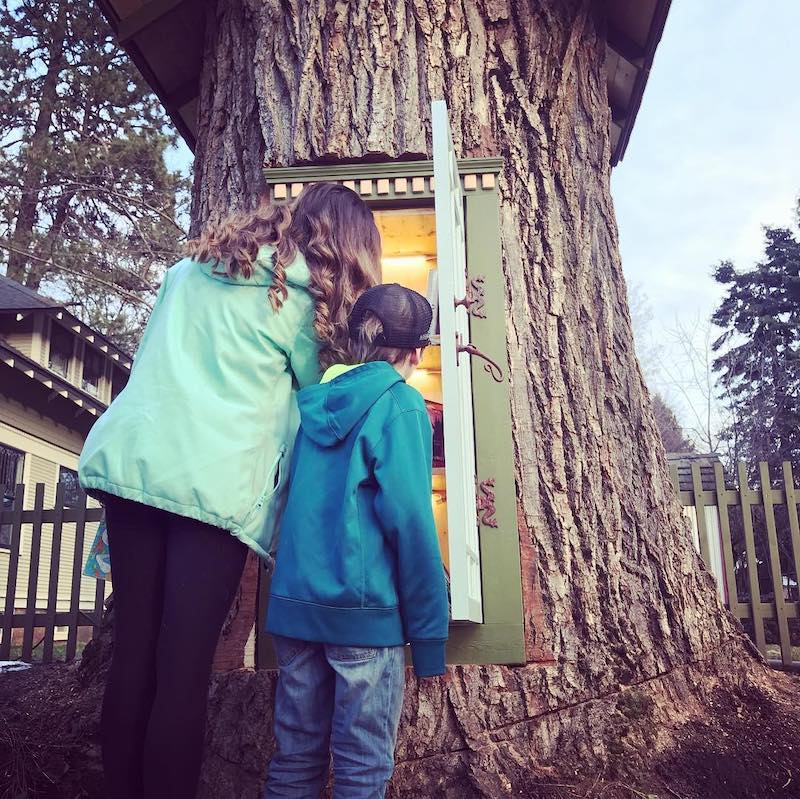 arbre-bibliothèque-rue-7