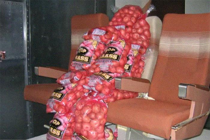 avions-larguent-carottes-pommes-de-terre-animaux-foret-australie-7