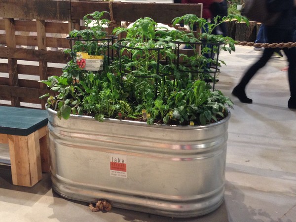 baignoires-seaux-galvanisées-94