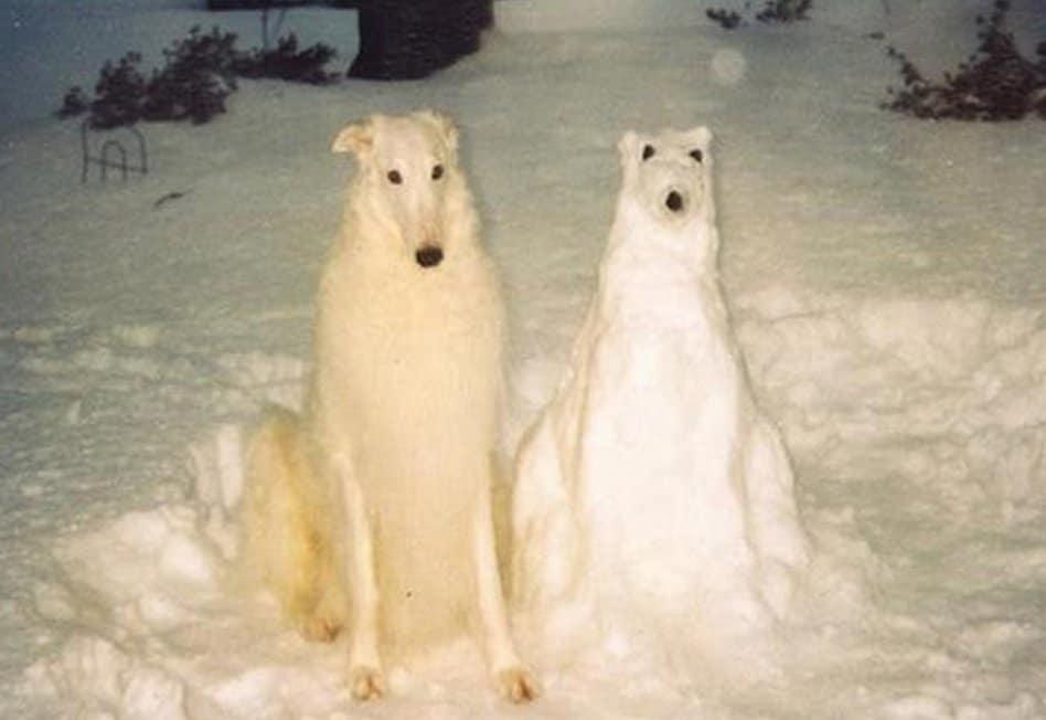 bonhomme-neige-drole-93