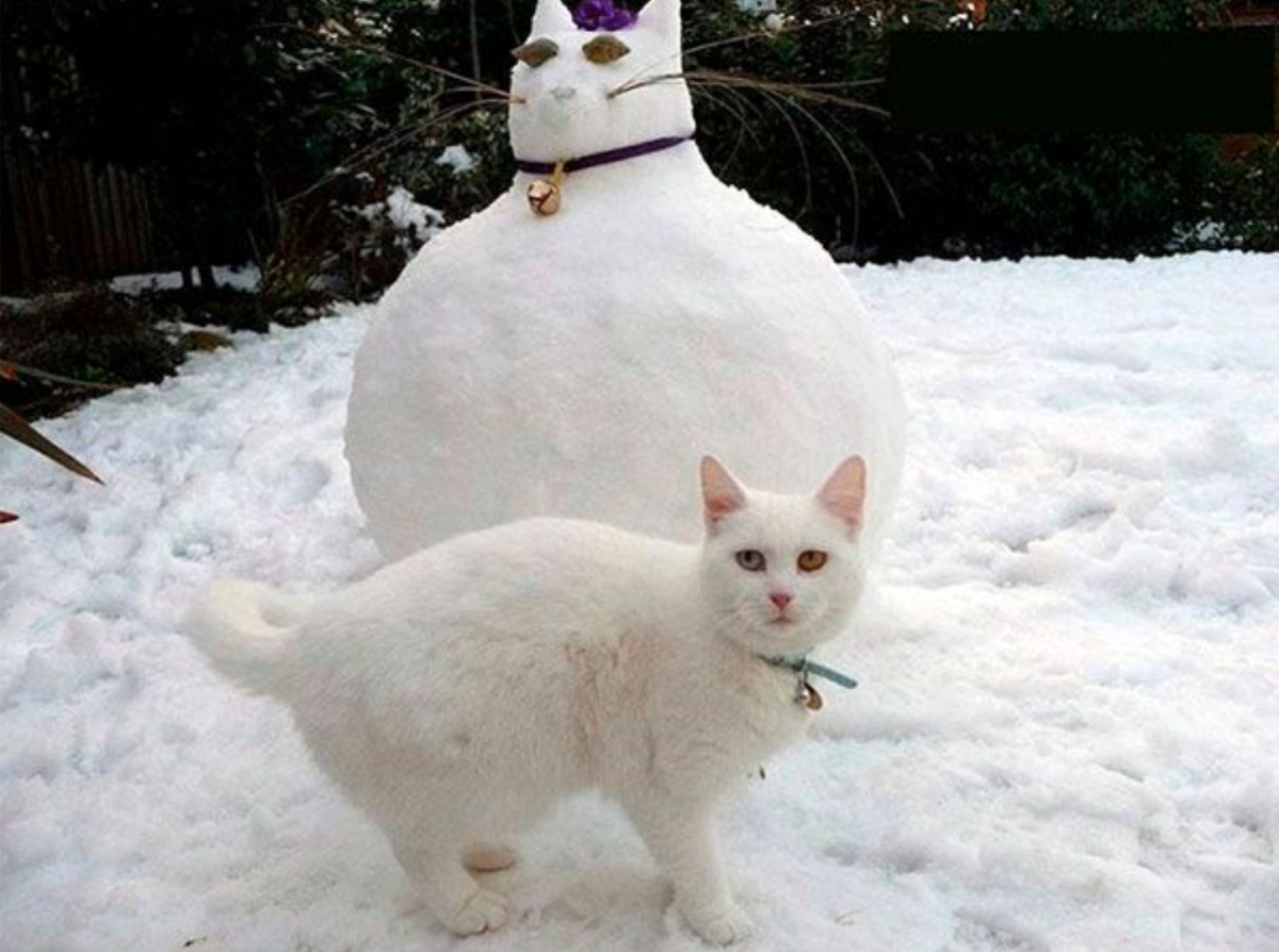 bonhomme-neige-drole-9994