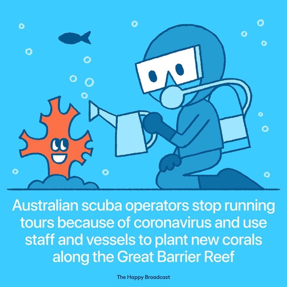 bonnes-nouvelles-coronavirus-10