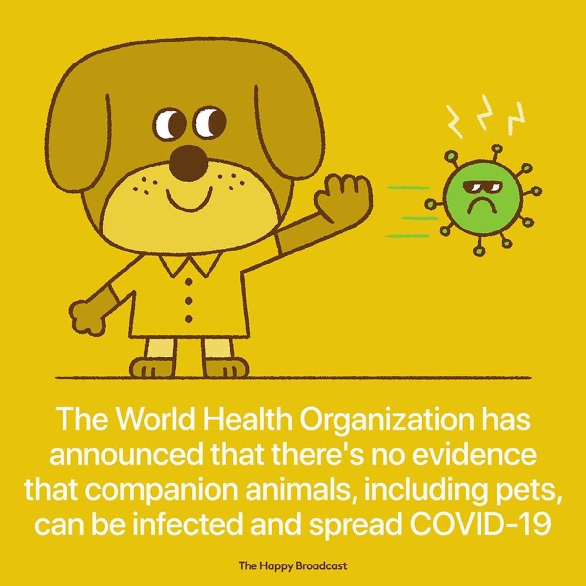 bonnes-nouvelles-coronavirus-15