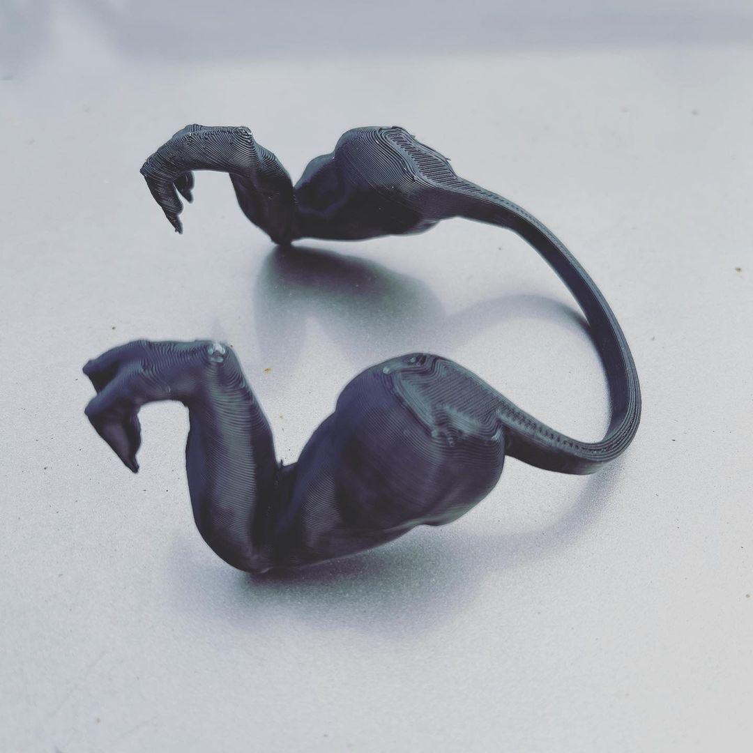 bras-de-dinosaure-ou-Hulk-pour-vos-poules3