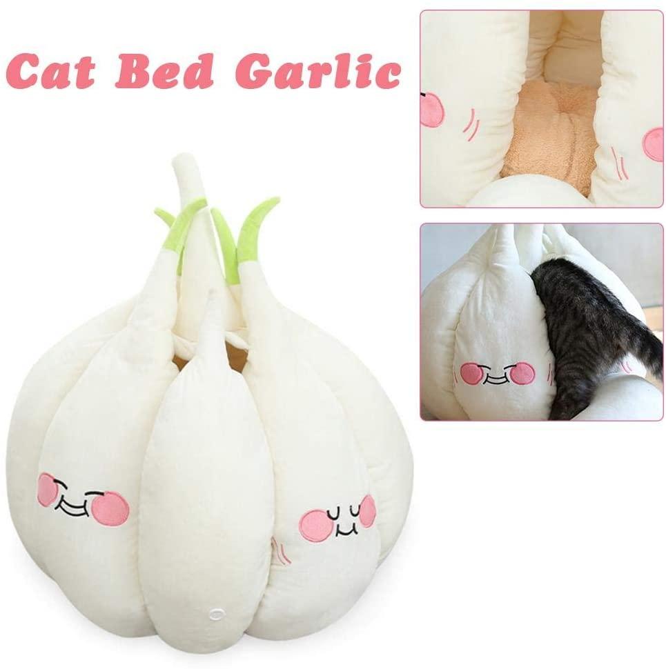 bulbe-ail-géant-chat-