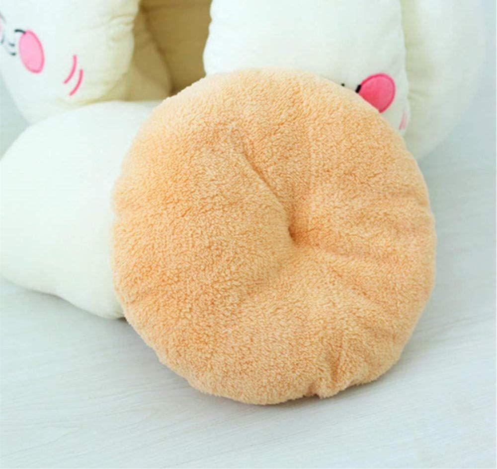 bulbe-ail-géant-chat-2