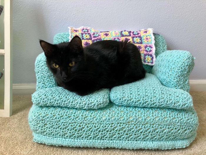 Tendance Crochet Pendant Leur Temps Libre Les Gens Fabriquent Des Canapes Pour Chats Au Crochet Video Patron Trucs Et Astuces A Faire A La Maison Tendance Crochet Pendant Leur Temps Libre Les Gens Fabriquent Des Canapes Pour Chats Au Crochet Video Patron Trucs Et Astuces A Faire A La Maison