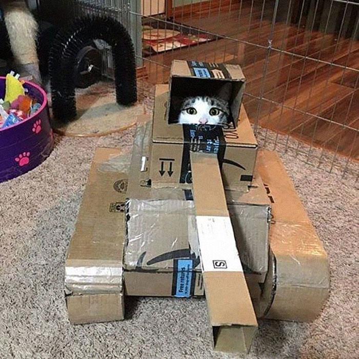 chars-dassaut-pour-chats-confinement-92