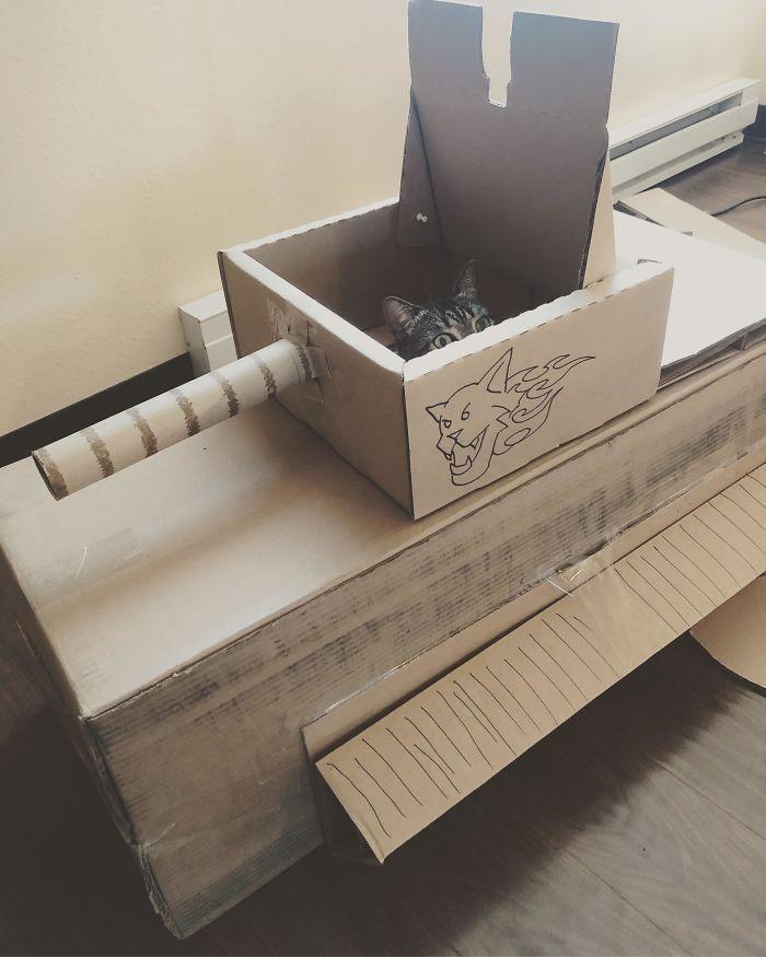 chars-dassaut-pour-chats-confinement-992