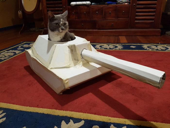 chars-dassaut-pour-chats-confinement-994