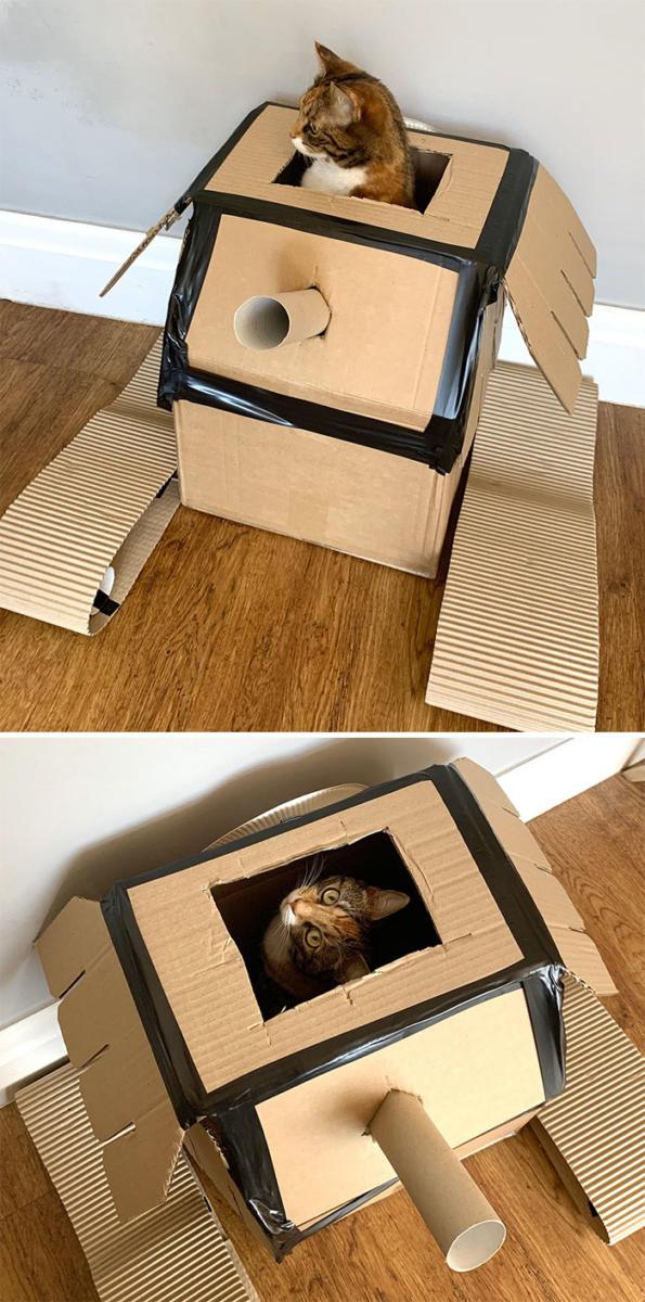 chars-dassaut-pour-chats-confinement-996