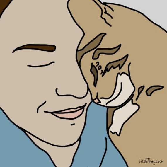 chat-montrer-amour-4