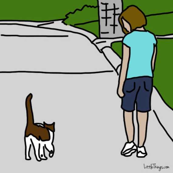 chat-montrer-amour-92