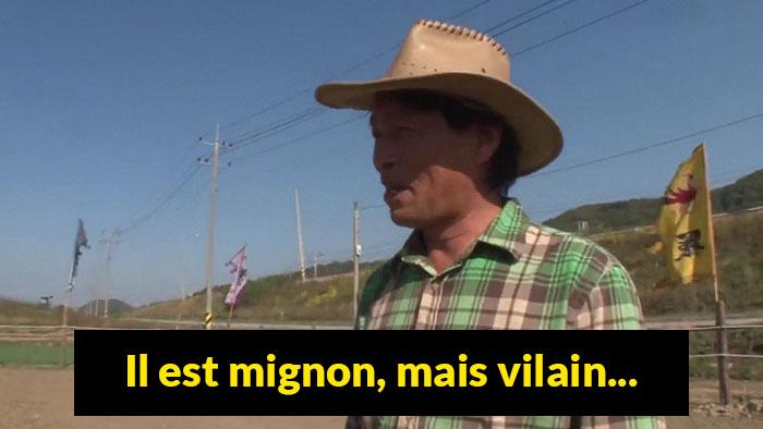 cheval-fait-le-mort-995