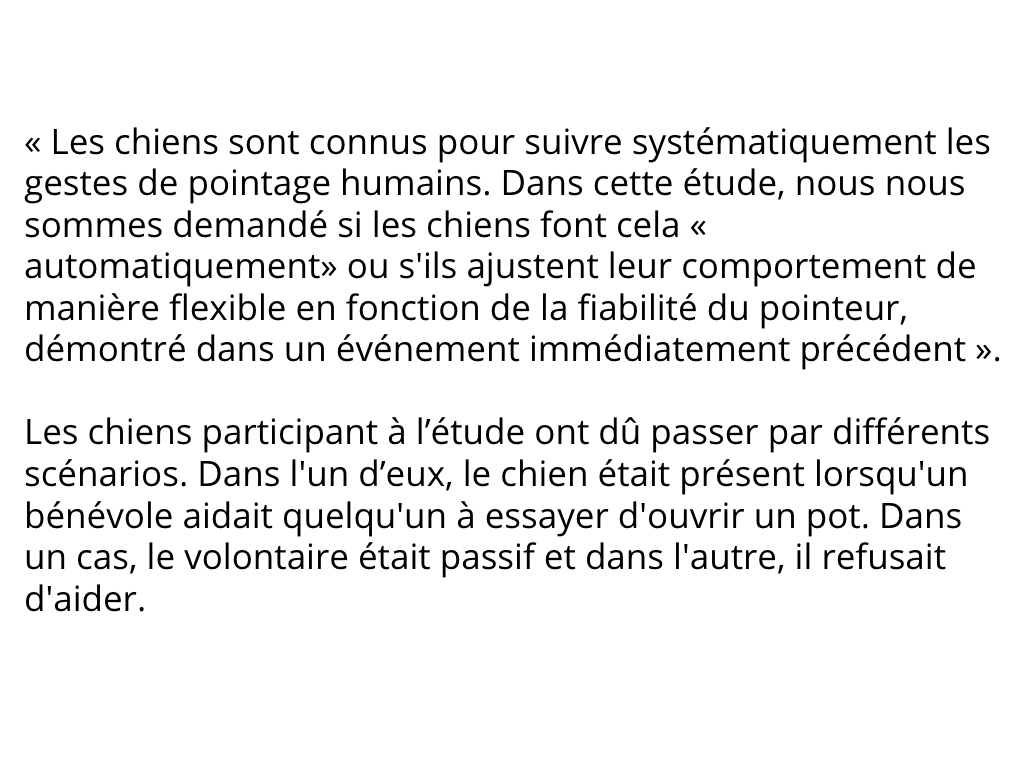 chien-reconnaître-mauvaises-personnes-4