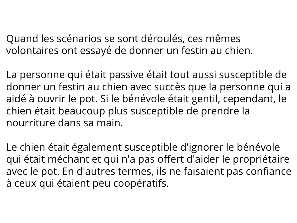 chien-reconnaître-mauvaises-personnes-5