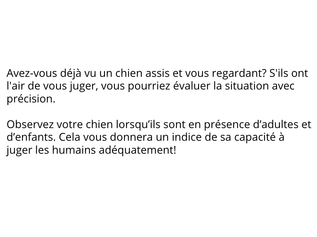 chien-reconnaître-mauvaises-personnes-7