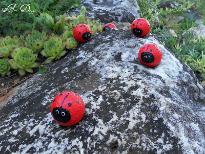 coccinelle-jardin-10