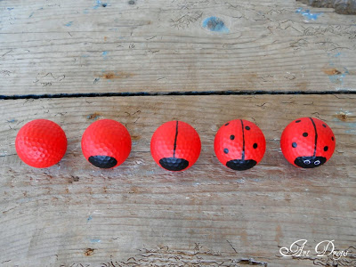 coccinelle-jardin-6