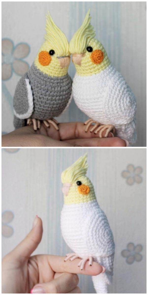 cockatiels-