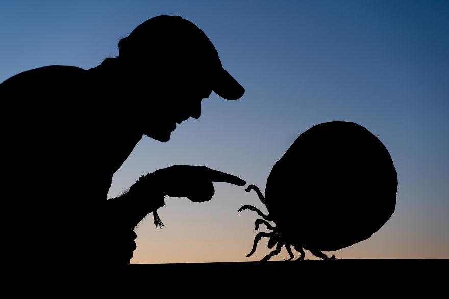 coucher-de-soleil-cartons-6