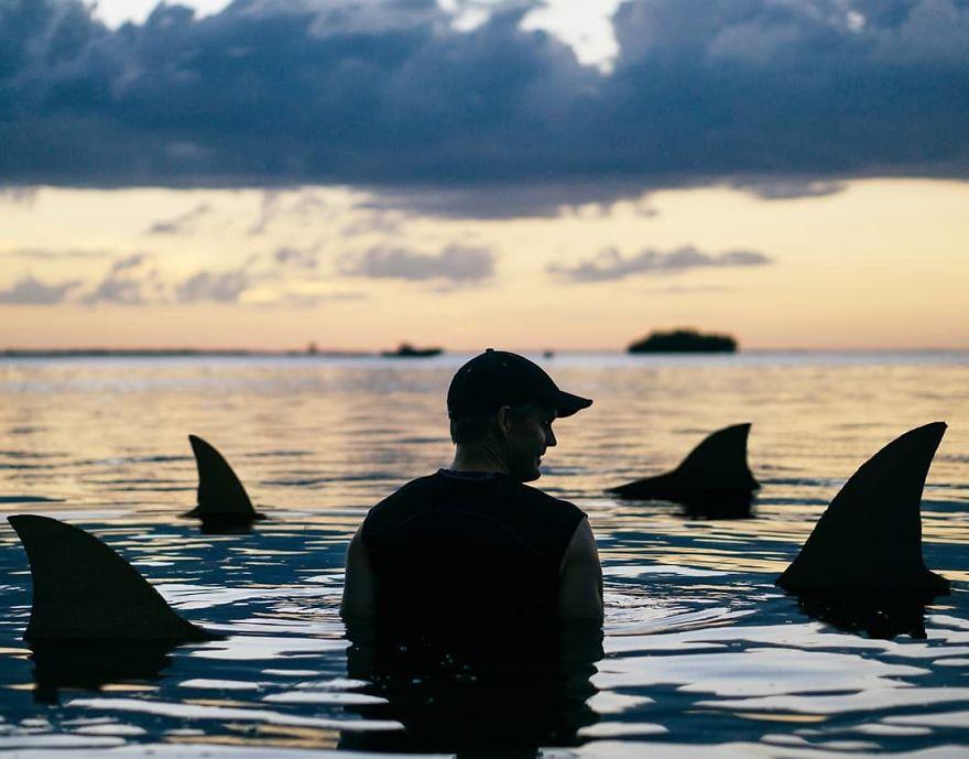 coucher-de-soleil-cartons-99