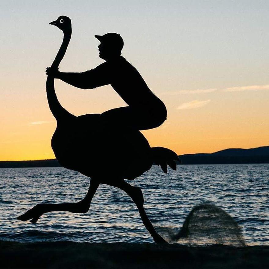 coucher-de-soleil-cartons-993